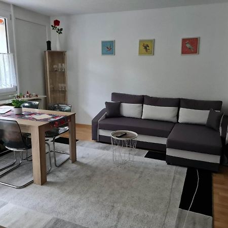 Ferienwohnung Haus Enere Au FeWo Antonia und FeWo Milan Todtmoos Exterior foto