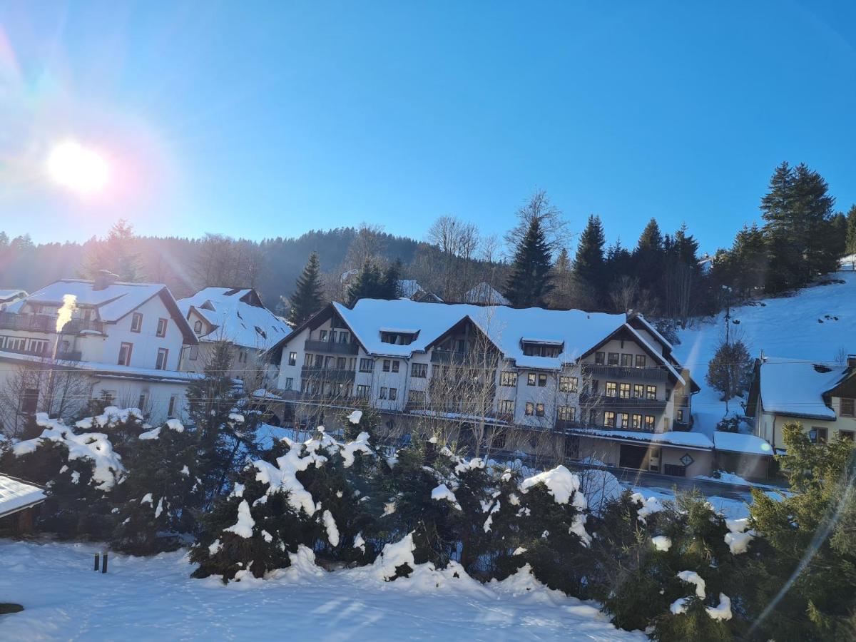 Ferienwohnung Haus Enere Au FeWo Antonia und FeWo Milan Todtmoos Exterior foto